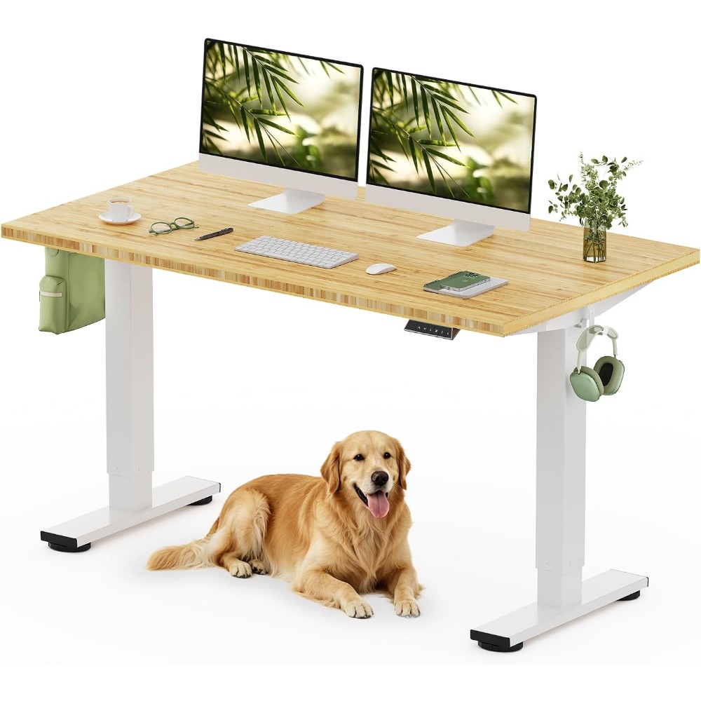 Setup Desk Monitor - FLEXISPOT 55