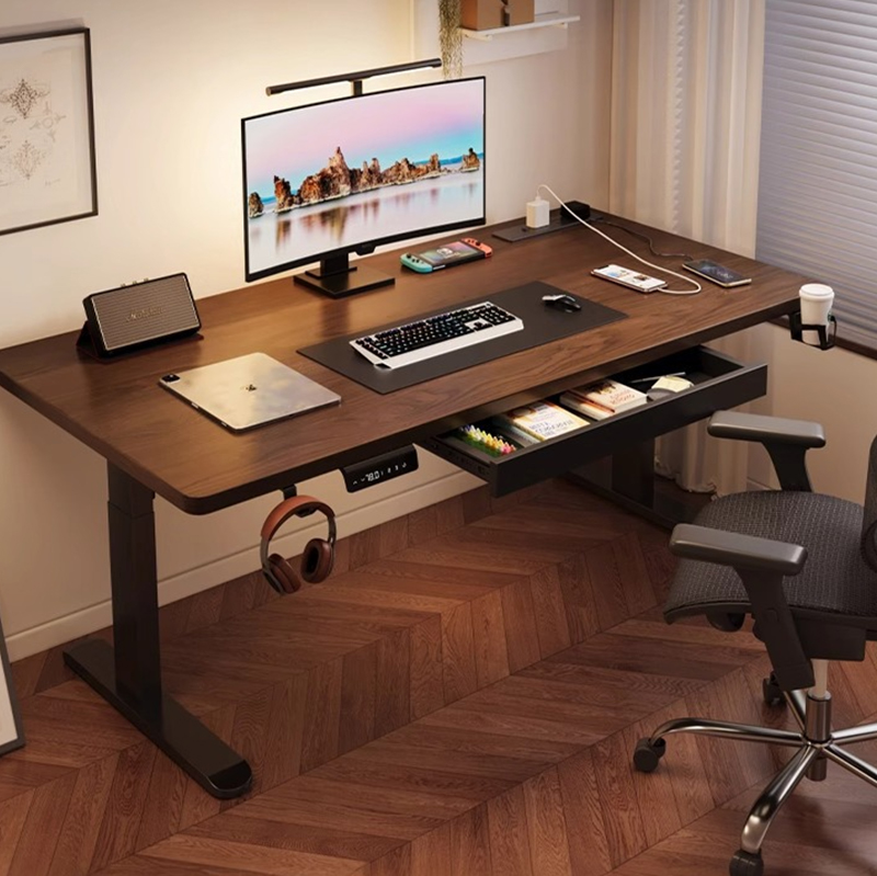Modern Iron Dual Motor Electri - Setup Desk Monitor ulasan dan harga